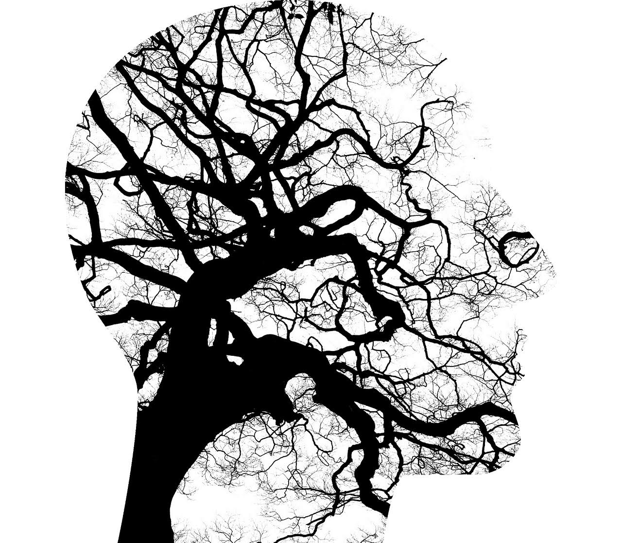 Shining a Light on Mental Health