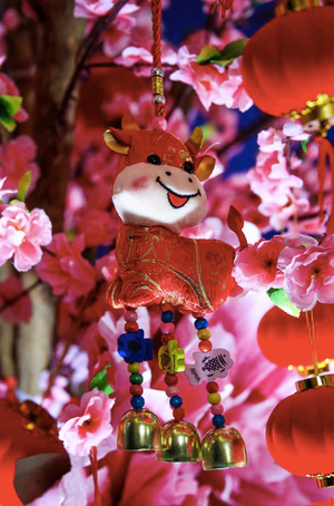 Spotlight on: The Lunar New Year